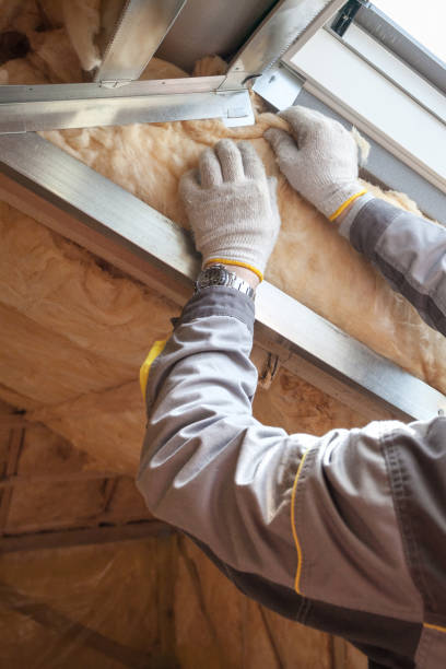Best Specialized Insulation Services in Ferriday, LA