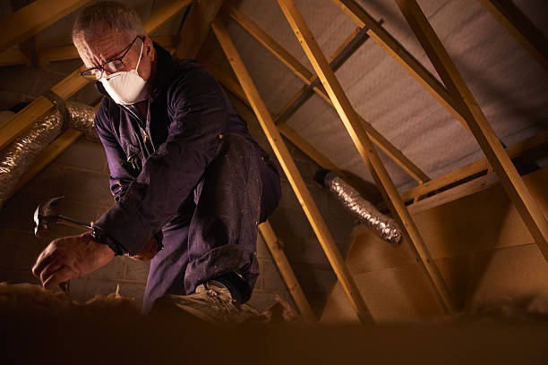 Best Specialized Insulation Services in Ferriday, LA